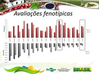 Ψam (MPa)
-2,00

-2,50

-3,00

-3,50

-4,00

L5P47

L8P68

L13P63

L6P36

L8P42

L12P8

L7P63

L5P60

L7P52

L6P75

L4P13

L12P97

L18P18

L12P36

L15P14

L12P100

L12P57

Produção (L)

Avaliações fenotípicas

20

18

16

14

12

10

8
2012

6

2013

4

2

0

0,00

-0,50

-1,00

-1,50

2012

2013

 