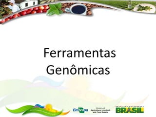 Ferramentas
Genômicas

 