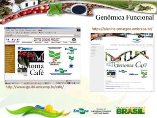 Genômica Funcional
https://alanine.cenargen.embrapa.br/

http://www.lge.ibi.unicamp.br/cafe/

 