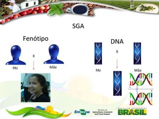 SGA
Fenótipo

DNA
X

X
PAI

Mãe

PAI

Mãe

 