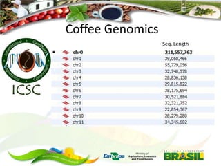 Coffee Genomics
Seq. Length

 