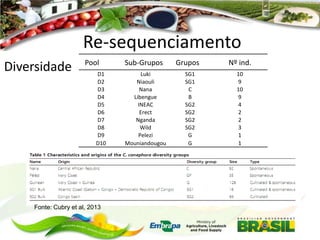 Re-sequenciamento
Diversidade

Nome do pool
Pool

Genótipo
Sub-Grupos

População
Grupos

D1
D2
D3
D4
D5
D6
D7
D8
D9
D10

Luki
Niaouli
Nana
Libengue
INEAC
Erect
Nganda
Wild
Pelezi
Mouniandougou

SG1
SG1
C
B
SG2
SG2
SG2
SG2
G
G

Fonte: Cubry et al, 2013

Número de
Nº ind.
indivíduos por pool
10
9
10
9
4
2
2
3
1
1

 