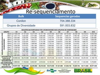 Re-sequenciamento
Bulk

Sequencias geradas

Conilon

704.388.334

Grupos de Diversidade

591.003.832

SEQUÊNCIAS MAPEADAS POR CROMOSSOMO NOS GRUPOS DE DIVERSIDADE
D1
D2
D3
D4
D5
D6
D7
D8
27.695.876 27.101.635 16.271.875 23.141.784 23.074.050 28.571.894 26.753.857 29.538.728
3.431.114
3.232.529
2.017.466
2.950.498
2.763.441
3.547.441
3.299.137
3.766.199
4.603.996
4.309.656
2.676.556
4.054.325
3.743.728
4.791.640
4.540.919
5.078.303
2.674.003
2.527.164
1.623.370
2.377.438
2.176.914
2.774.354
2.607.283
2.966.314
2.481.739
2.322.979
1.493.817
2.170.156
2.023.848
2.539.815
2.432.384
2.746.025
2.671.215
2.526.554
1.596.948
2.342.968
2.176.214
2.803.213
2.639.585
3.018.461
3.258.288
3.078.079
1.901.349
2.804.512
2.569.606
3.271.167
3.106.704
3.502.127
3.746.639
3.312.451
1.836.496
2.518.417
2.547.593
3.260.074
2.888.482
3.354.396
2.838.105
2.760.295
1.608.770
2.471.645
2.267.623
2.922.573
2.775.392
3.076.853
1.949.437
1.807.508
1.170.531
1.713.601
1.600.820
1.999.471
1.924.634
2.169.494
2.437.177
2.313.103
1.390.730
2.084.703
1.906.496
2.426.099
2.304.655
2.616.276
3.081.853
2.980.733
1.865.377
2.667.971
2.523.213
3.233.074
3.090.200
3.405.446

SEQUÊNCIAS MAPEADAS POR
CROMOSSOMO

GRUPO
Chr 0
Chr 1
Chr 2
Chr 3
Chr 4
Chr 5
Chr 6
Chr 7
Chr 8
Chr 9
Chr 10
Chr 11
SEQUÊNCIAS
60.869.442
MAPEADAS
SEQUÊNCIAS
3.988.502
NÃO MAPEADAS
TOTAL DE
64.857.944
SEQUÊNCIAS

D9
18.418.614
2.173.713
2.970.096
1.716.333
1.598.272
1.735.114
2.088.515
1.874.394
1.835.139
1.294.014
1.543.520
2.011.636

D10
18.892.558
2.341.398
3.265.888
1.836.306
1.717.224
1.848.829
2.262.538
2.171.182
1.968.567
1.368.028
1.688.319
2.137.961

58.272.686

35.453.285

51.298.018

49.373.546

62.140.815

58.363.232

65.238.622

39.259.360

41.498.798

11.152.922

8.002.597

4.918.534

10.100.290

5.181.175

3.473.498

5.587.170

11.452.480

5.378.860

69.425.608

43.455.882

56.216.552

59.473.836

67.321.990

61.836.730

70.825.792

50.711.840

46.877.658

 