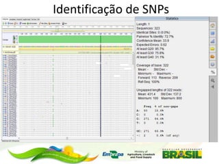 Identificação de SNPs

 