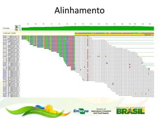 Alinhamento

 