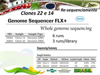 Clones 22 e 14

Re-sequenciamento

6 runs
3 runs/library

 