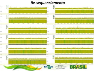 Re-sequenciamento

 