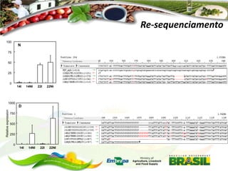 Re-sequenciamento
100

N

75
50
25
0
14I

Relative expression

1000

14NI

22I

22NI

D

750
500
250
0
14I

14NI

22I

22NI

 