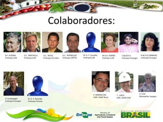 Colaboradores:

A.F. GUERRA
Embrapa-Café

D. Grattapaglia
Embrapa-Cenargen

G.F . BARTHOLO
Embrapa-Café

M. D. V. Resende
Embrapa Floresta

O.C . ROcha
Embrapa-Cerrados

G.C . RODRIGUES
Embrapa-CNPTIA

M. A. F. Carvalho
Embrapa Café

M.A.G. FERRÃO
Embrapa-Café

P. MARRACCINI
HDR / AGAP-Burst

C.BLOCH Jr.
Embrapa-Cenargen

T . LEROY
HDR / AGAP-EGV

R.M.D.G.CARNEIRO
Embrapa-Cenargen

D. THIS
Montpellier Supagro

 