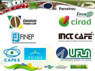 Parceiros:

 