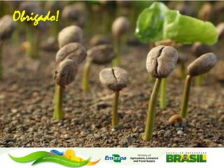 Obrigado!

 