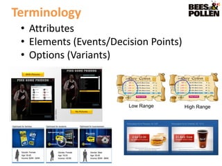 Terminology
 • Attributes
 • Elements (Events/Decision Points)
 • Options (Variants)



                        Low Range      High Range
 