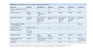 Concentracion alveolar minima en halogenados.pptx