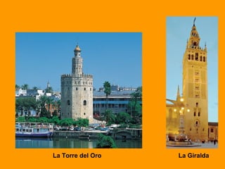 La Torre del Oro La Giralda 
 