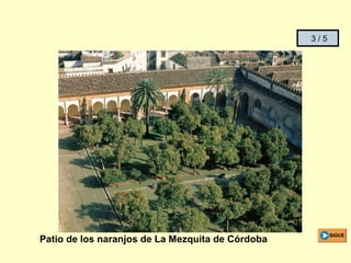 3 / 5 
Patio de los naranjos de La Mezquita de Córdoba SIGUE 
 