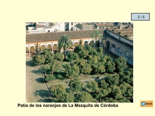 Patio de los naranjos de La Mezquita de Córdoba
SIGUE
3 / 5
 