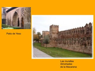 Patio de Yeso
Las murallas
Almohades
de la Macarena
 