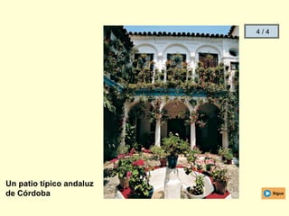 Un patio típico andaluz
de Córdoba Sigue
4 / 4
 