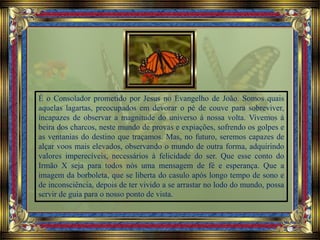 É o Consolador prometido por Jesus no Evangelho de João. Somos quais
aquelas lagartas, preocupados em devorar o pé de couve para sobreviver,
incapazes de observar a magnitude do universo à nossa volta. Vivemos à
beira dos charcos, neste mundo de provas e expiações, sofrendo os golpes e
as ventanias do destino que traçamos. Mas, no futuro, seremos capazes de
alçar voos mais elevados, observando o mundo de outra forma, adquirindo
valores imperecíveis, necessários à felicidade do ser. Que esse conto do
Irmão X seja para todos nós uma mensagem de fé e esperança. Que a
imagem da borboleta, que se liberta do casulo após longo tempo de sono e
de inconsciência, depois de ter vivido a se arrastar no lodo do mundo, possa
servir de guia para o nosso ponto de vista.
 