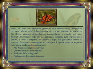 Então, não mais vos arrastareis presas ao solo úmido e triste. Adquirireis
preciosa visão da vida! Subireis muito alto e vosso alimento será o néctar
das flores. Viajareis deslumbradas, contemplando o mundo, sob novo
prisma! Observareis o sapo que nos persegue, castigado pela serpente que o
destrói, e vereis a serpente que fascina o sapo, fustigada pelas armas do
homem! Enquanto a mensageira se entregava à ligeira pausa de repouso,
ouviram-se exclamações admirativas:
- Ah! Não posso crer no que vejo!
- Que misteriosa e bela criatura!
- Será uma fada milagrosa?
- Nada possui de comum conosco.
 