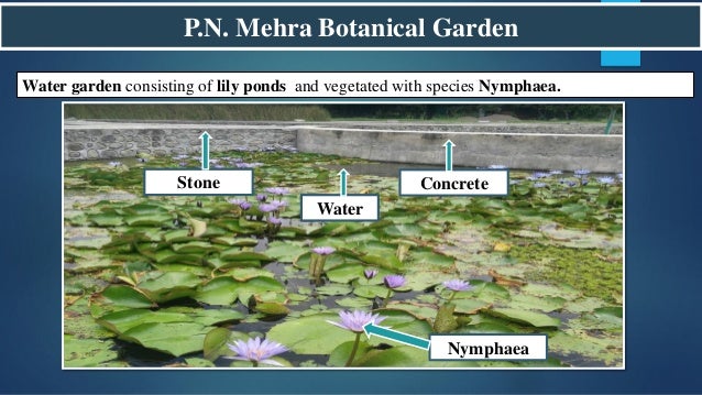 Residential landscape case study image