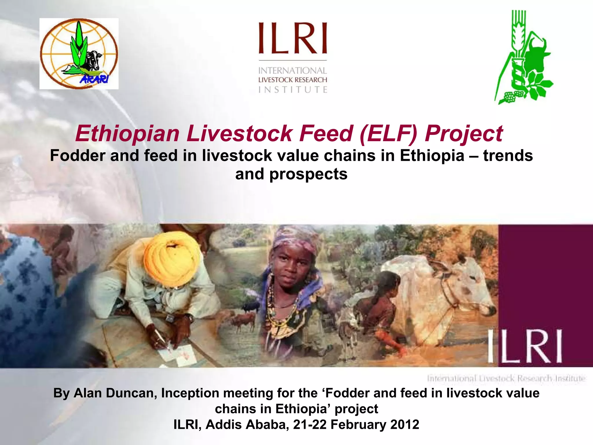 Ethiopian livestock feed (ELF) project: Fodder and feed in livestock ...