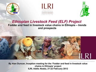 Ethiopian Livestock Feed (ELF) Project  Fodder and feed in livestock value chains in Ethiopia – trends and prospects By Alan Duncan, Inception meeting for the  ‘ Fodder and feed in livestock value chains in Ethiopia ’  project ILRI, Addis Ababa, 21-22 February 2012 