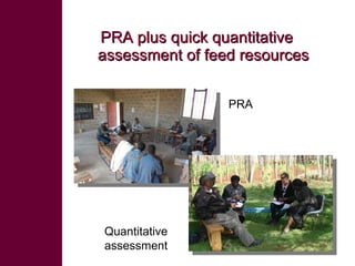 Ethiopian livestock feed (ELF) project: Fodder and feed in livestock value chains in Ethiopia