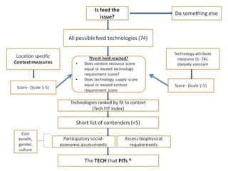 Ethiopian livestock feed (ELF) project: Fodder and feed in livestock value chains in Ethiopia