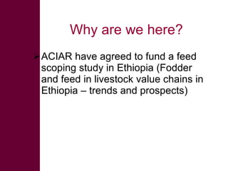 Ethiopian livestock feed (ELF) project: Fodder and feed in livestock value chains in Ethiopia