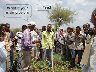 What is your main problem Feed 