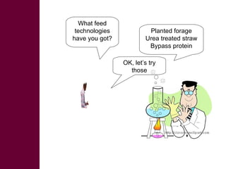 Ethiopian Livestock Feed (ELF) Project: Introducing Techfit