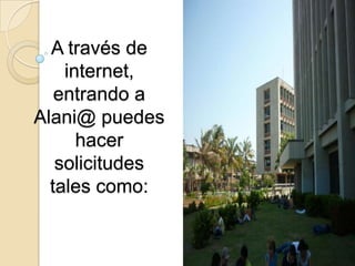 A través de
    internet,
   entrando a
Alani@ puedes
      hacer
   solicitudes
  tales como:
 