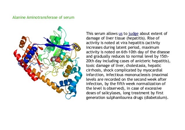 Alanine aminotransferase of serum