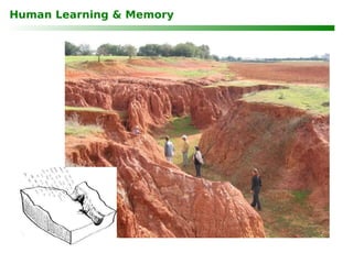 Human Learning & Memory 