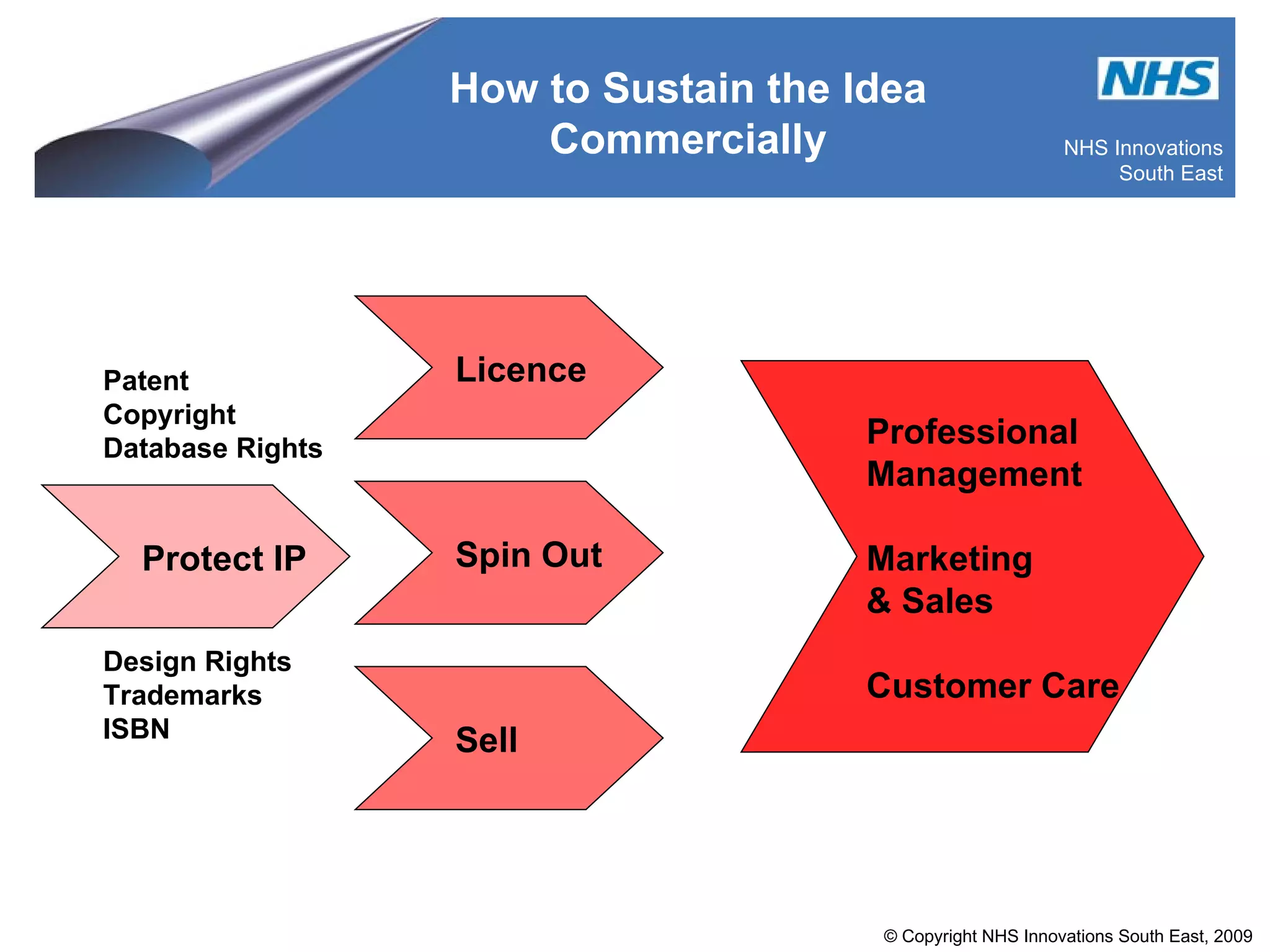 How to Sustain the Idea Commercially Patent Copyright Database Rights Protect IP Licence Spin Out Sell Professional Management Marketing & Sales Customer Care  Design Rights Trademarks ISBN 