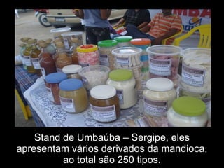 Stand de Umbaúba – Sergipe, eles apresentam vários derivados da mandioca, ao total são 250 tipos. 