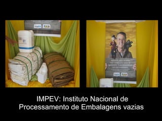 IMPEV: Instituto Nacional de Processamento de Embalagens vazias  