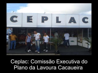 Ceplac: Comissão Executiva do Plano da Lavoura Cacaueira  