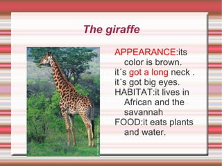 The turtle APPEARANCE:the turtle is a type of reptile that has a shell  of bone or hard skin that protects your body 