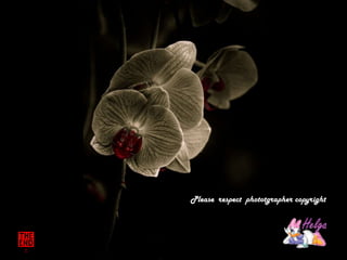 Pleaserespectphototgrapher copyright