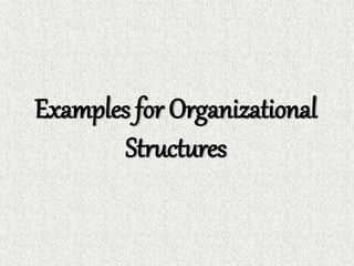 Examples for Organizational
Structures
 