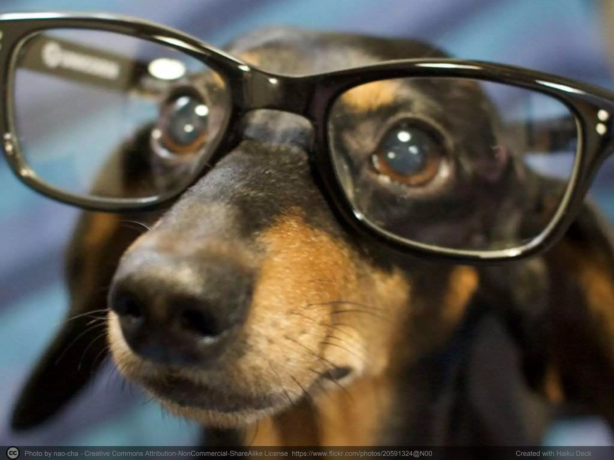 Photo by nao-cha - Creative Commons Attribution-NonCommercial-ShareAlike License https://www.flickr.com/photos/20591324@N00 Created with Haiku Deck
 