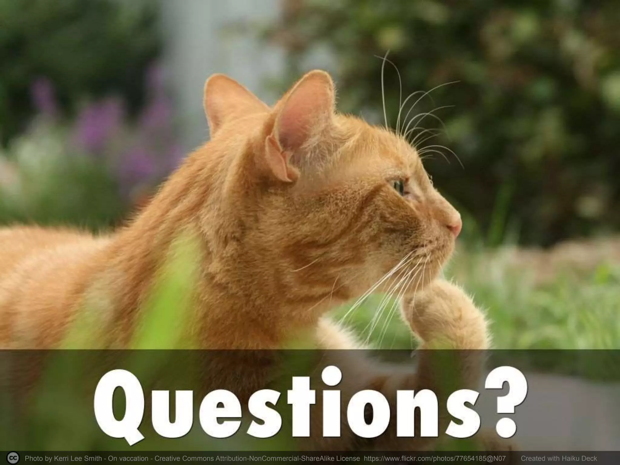 Photo by Kerri Lee Smith - On vaccation - Creative Commons Attribution-NonCommercial-ShareAlike License https://www.flickr.com/photos/77654185@N07 Created with Haiku Deck
 