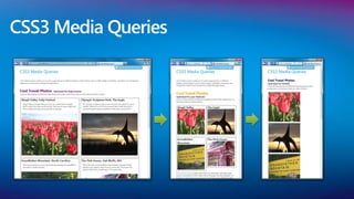CSS3 Media Queries
 