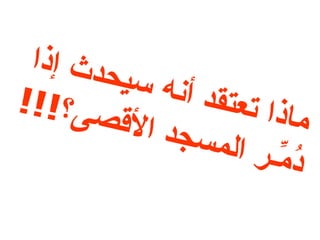 ماذا تعتقد أنه سيحدث إذا دُمِّـر المسجد الأقصى؟ !!! 