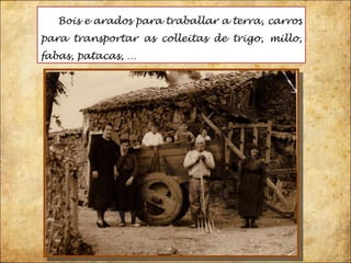 Bois e arados para traballar a terra, carros para transportar as colleitas de trigo, millo, fabas, patacas, …  