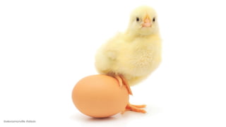 @alexismonville #atbdx
 