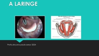 A LARINGE
Profa.dra.ana paula zarzur 2024
 