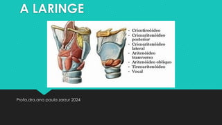 A LARINGE
Profa.dra.ana paula zarzur 2024
 